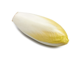 Two fresh Chicory on white background