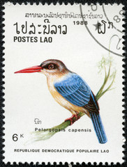 stamp features a Stork-billed kingfisher bird