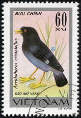 stamp printed in Vietnam shows Acridotheres cristatellus