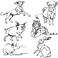 Asian zodiac 2