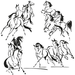 groups of horses