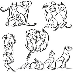 dog, cat, rabbit and bird