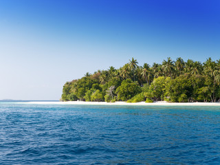 Fototapeta na wymiar The island with palm trees in the ocean