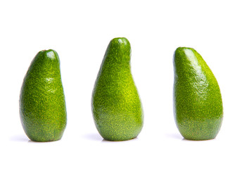avocado