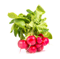 radish