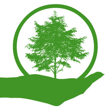 iws1 IconWebsiteSimple iws - english: green icon circle web symbol - tree and hand - German: Kreis mit Baum und Hand in gr&uuml;n - g72