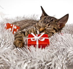 Christmas