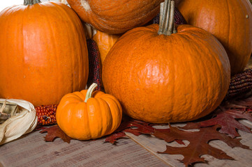 Pumpkins indian corn and fall leaves