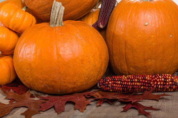 Pumpkins indian corn and fall leaves