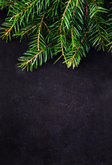 Christmas Fir Tree Branch on Vintage Blackboard