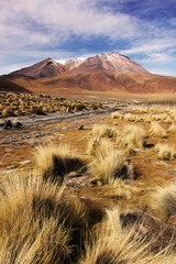 Volcano on Bilivian altiplano - 58707440