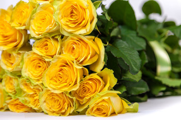 Group of fresh yellow roses