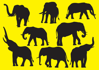 Vector silhouettes of elephants