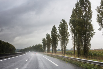 A wet treelined road