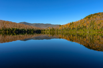 Fototapeta na wymiar Lake Reflections of fall foliage. Colorful autumn leaves shed re