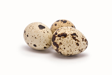 Quail Eggs isolated on white