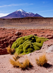Volcano in Bolivia - 58710203