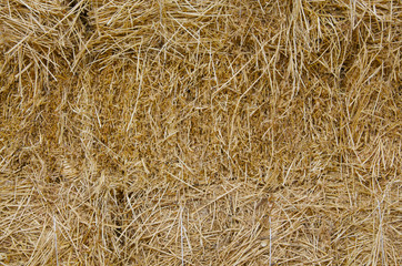 Haystack