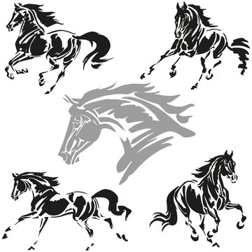 Fototapeta galloping horses