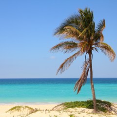 Fototapeta na wymiar Cuba - Playa Megano