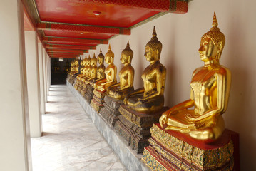 Buddha, Wat Pho thailand