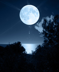 Fototapeta na wymiar Pełnia księżyca nad morzem