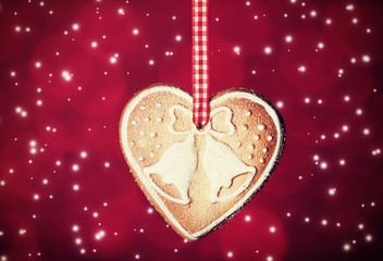 Cookie on red background