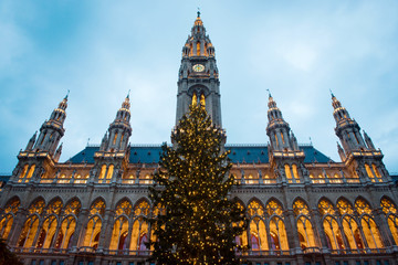 Christmas tree in front of Town Hall of Vienna, Austria