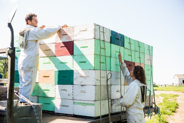 Beekeepers Loading Honeycomb Crates In Truck