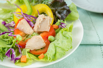 Mixed vegetable salad with tuna