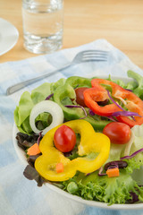 Vegetable salad on plate