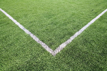 Soccer field grass