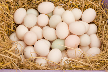 Fresh free range duck eggs in a nest of hay