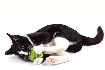 cat playing with a ball on a white background