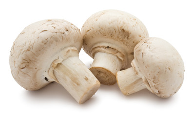 Champignon mushrooms