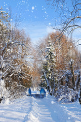Beautiful winter landscape with a bridge