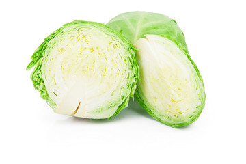 Cabbage