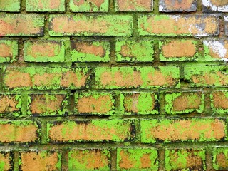 Grunge brick wall with old paint