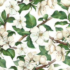 Fototapeta na wymiar Pattern with watercolor apple flowers