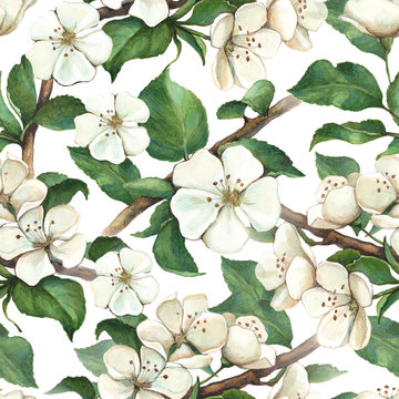 Pattern with watercolor apple flowers