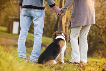 Seniors with dog