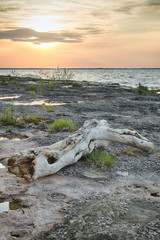 Sunset at the Alvar