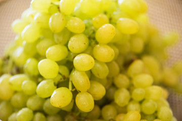 Green grapes in healthy eating concept