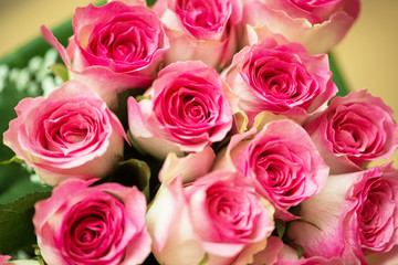 Nice roses in celebration concept