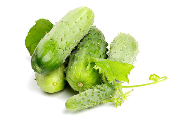 fresh cucumbers
