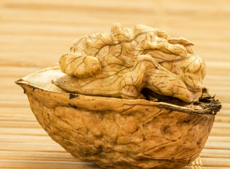 open wallnut