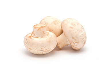 Champignons isolated on white