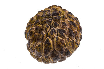 Custard-apple