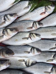 Satışa Sunulan Balıklar