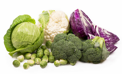 Various types of cabbage isolated on white